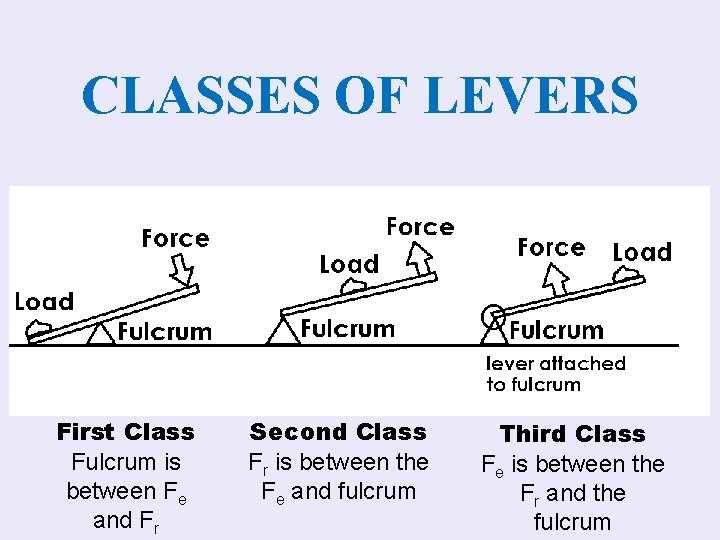 CLASSES OF LEVERS First Class Fulcrum is between Fe and Fr Second Class Fr