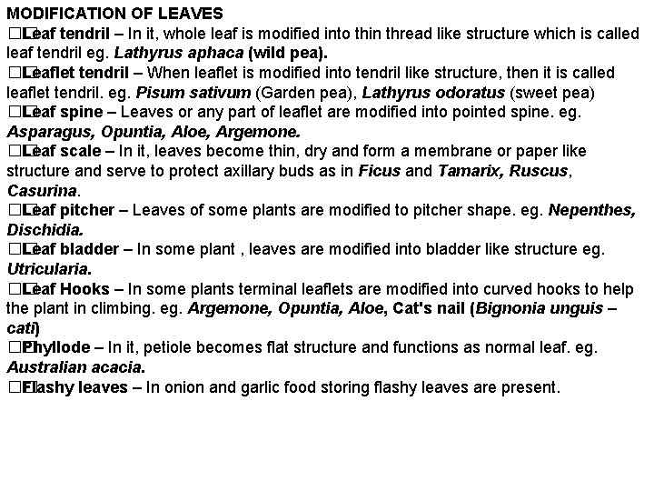 MODIFICATION OF LEAVES �� Leaf tendril – In it, whole leaf is modified into