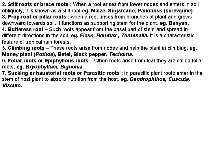 2. Stilt roots or brace roots : When a root arises from lower nodes