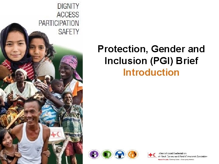 Protection, Gender and Inclusion (PGI) Brief Introduction 