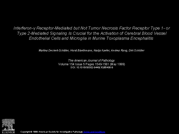 Interferon-γ Receptor-Mediated but Not Tumor Necrosis Factor Receptor Type 1 - or Type 2