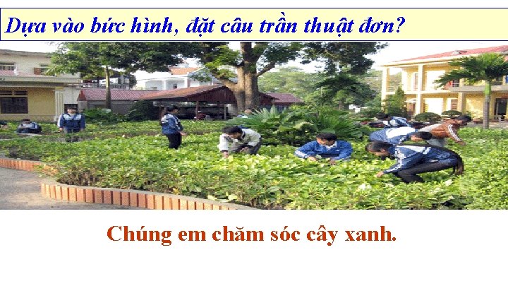 Dựa vào bức hình, đặt câu trần thuật đơn? Chúng em chăm sóc cây