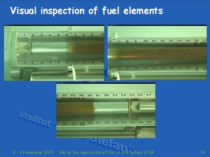Visual inspection of fuel elements 2 - 6 November 2015 RM on the Application