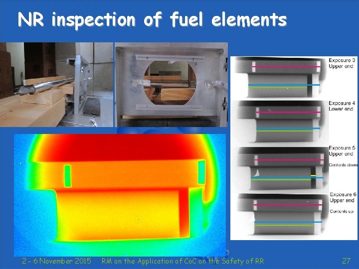 NR inspection of fuel elements 2 - 6 November 2015 RM on the Application