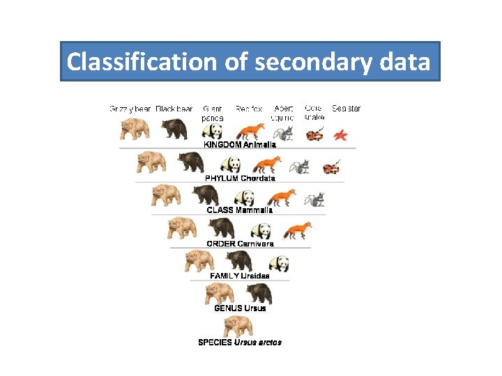 Classification of secondary data 