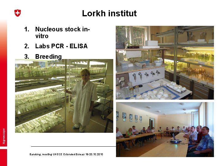 Lorkh institut 1. Nucleous stock invitro 2. Labs PCR - ELISA 3. Breeding Bandung,