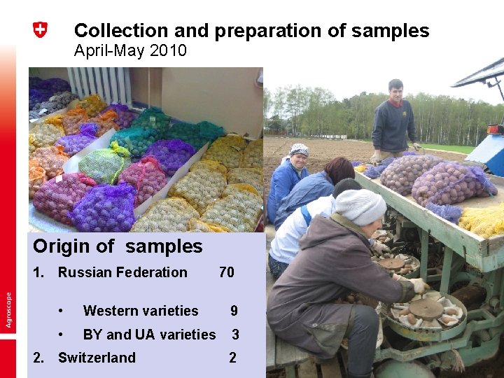 Collection and preparation of samples April-May 2010 Origin of samples 1. Russian Federation 70