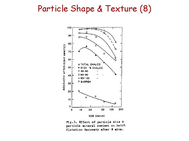 Particle Shape & Texture (8) Particle Shape & Texture (8)