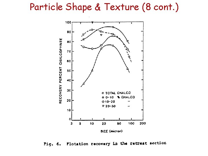 Particle Shape & Texture (8 cont. ) Particle Shape & Texture (8 cont. )