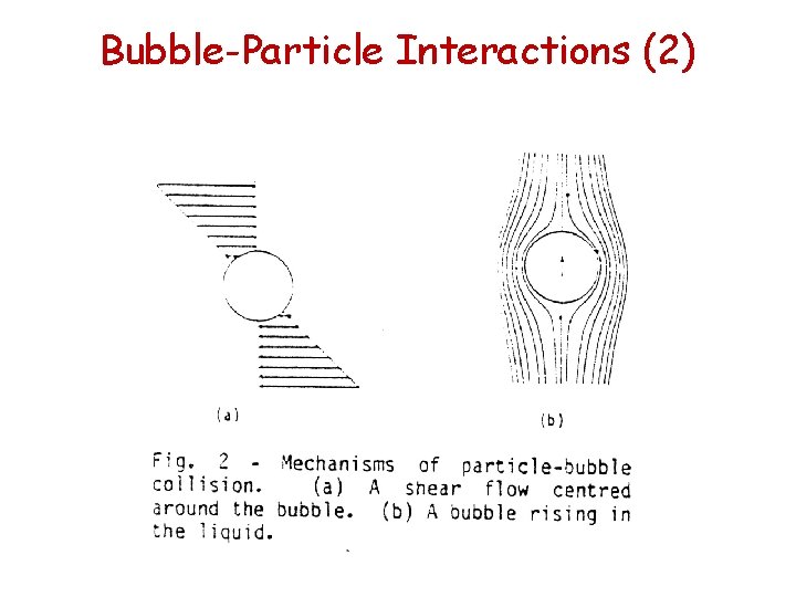 Bubble-Particle Interactions (2) Bubble-Particle Interactions (2)