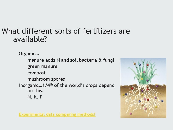 What different sorts of fertilizers are available? Organic… manure adds N and soil bacteria