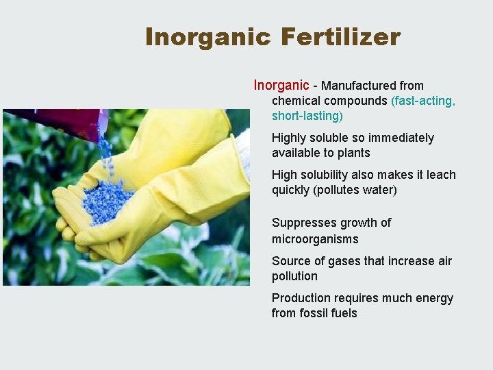 Inorganic Fertilizer Inorganic - Manufactured from chemical compounds (fast-acting, short-lasting) Highly soluble so immediately
