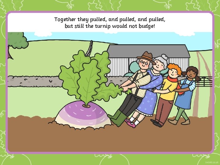 Together they pulled, and pulled, but still the turnip would not budge! 