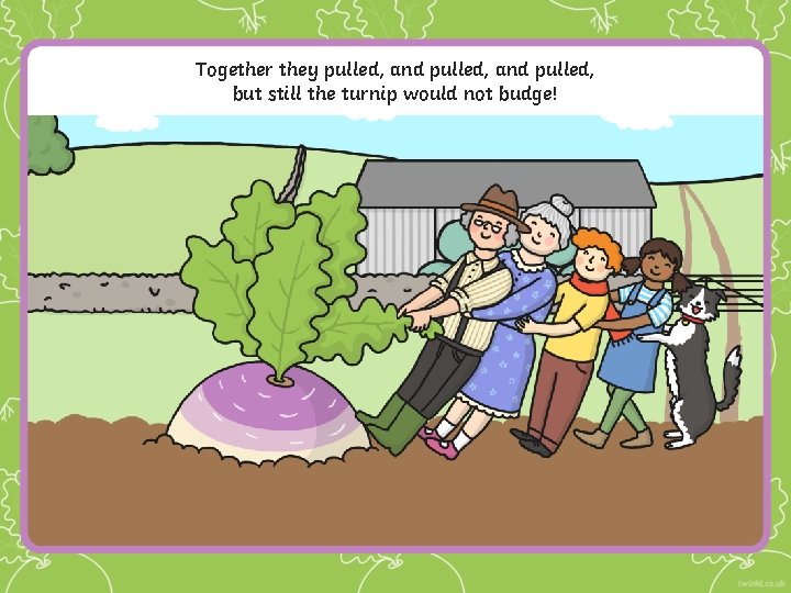 Together they pulled, and pulled, but still the turnip would not budge! 