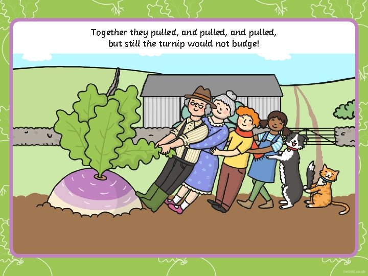 Together they pulled, and pulled, but still the turnip would not budge! 