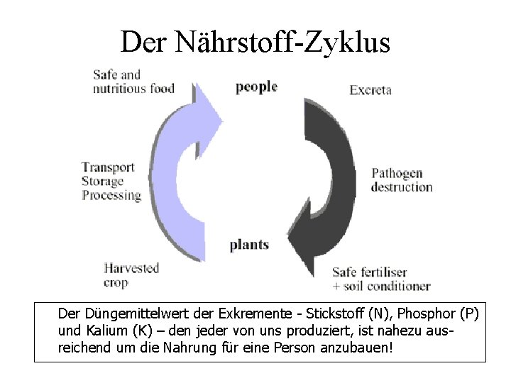 Der Nährstoff-Zyklus Der Düngemittelwert der Exkremente - Stickstoff (N), Phosphor (P) und Kalium (K)