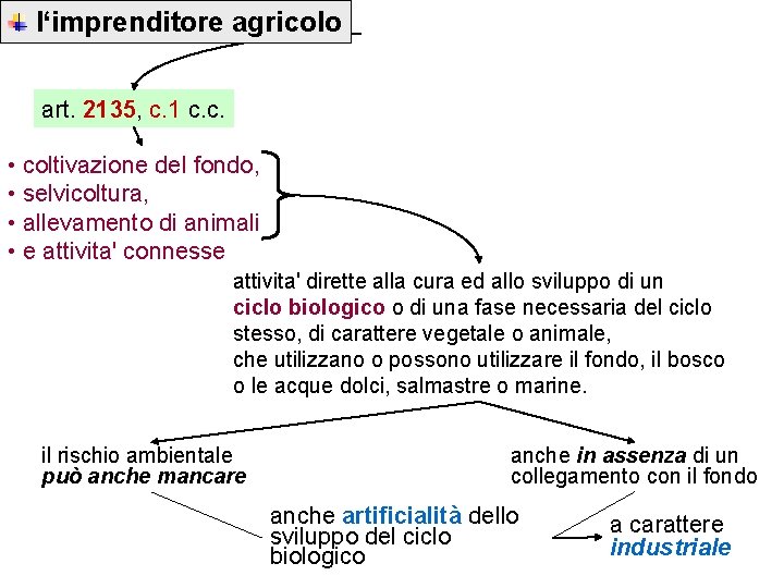 l‘imprenditore agricolo art. 2135, c. 1 c. c. • coltivazione del fondo, • selvicoltura,