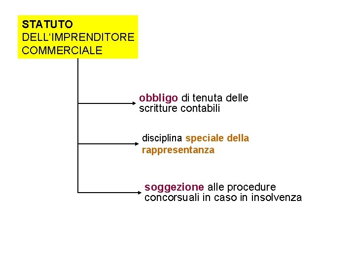 STATUTO DELL‘IMPRENDITORE COMMERCIALE obbligo di tenuta delle scritture contabili disciplina speciale della rappresentanza soggezione