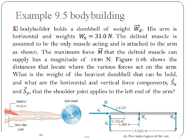 Example 9. 5 bodybuilding � 21 PHYS I @ HCC 