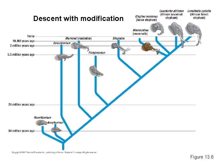 Descent with modification Figure 13. 6 