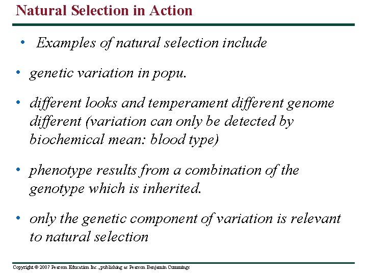 Natural Selection in Action • Examples of natural selection include • genetic variation in