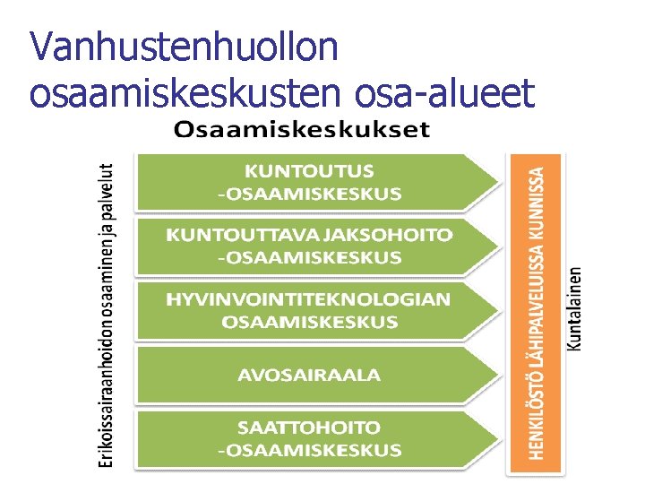 Vanhustenhuollon osaamiskeskusten osa-alueet 