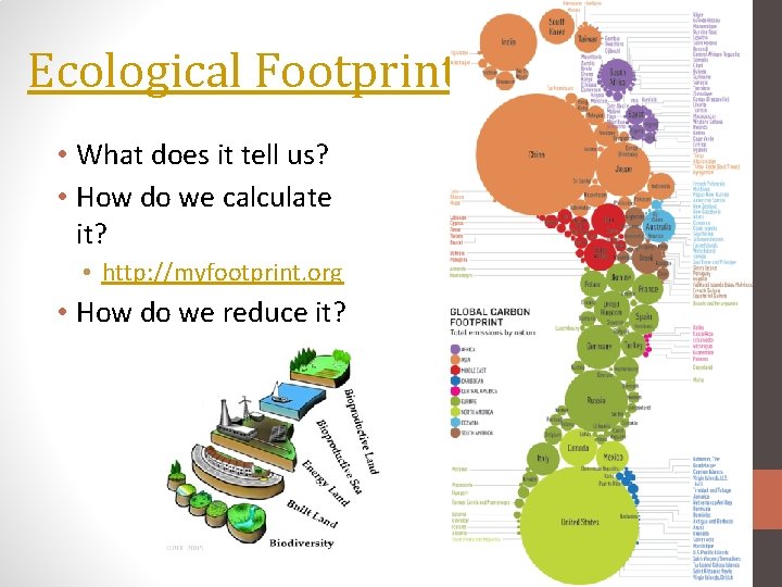 Ecological Footprint • What does it tell us? • How do we calculate it?