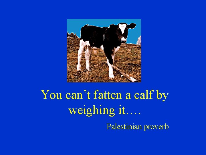 You can’t fatten a calf by weighing it…. Palestinian proverb 