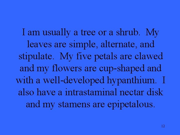 I am usually a tree or a shrub. My leaves are simple, alternate, and