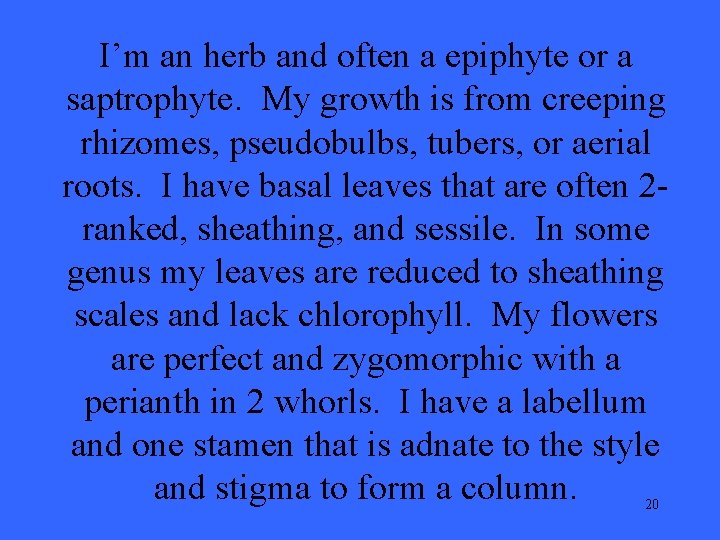 I’m an herb and often a epiphyte or a saptrophyte. My growth is from
