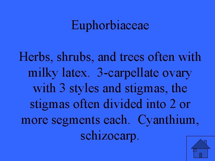 Euphorbiaceae Herbs, shrubs, and trees often with milky latex. 3 -carpellate ovary with 3