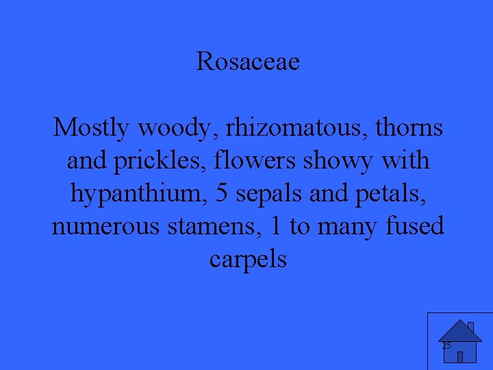 Rosaceae Mostly woody, rhizomatous, thorns and prickles, flowers showy with hypanthium, 5 sepals and