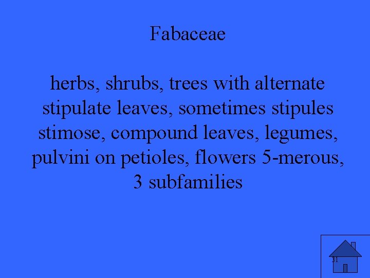 Fabaceae herbs, shrubs, trees with alternate stipulate leaves, sometimes stipules stimose, compound leaves, legumes,