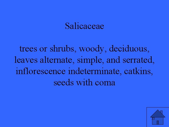 Salicaceae trees or shrubs, woody, deciduous, leaves alternate, simple, and serrated, inflorescence indeterminate, catkins,