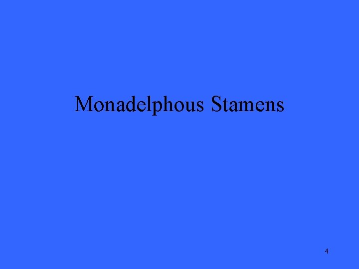 Monadelphous Stamens 4 