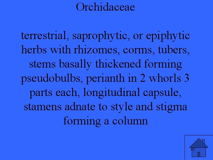 Orchidaceae terrestrial, saprophytic, or epiphytic herbs with rhizomes, corms, tubers, stems basally thickened forming