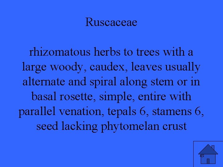 Ruscaceae rhizomatous herbs to trees with a large woody, caudex, leaves usually alternate and