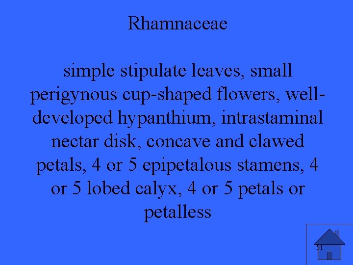 Rhamnaceae simple stipulate leaves, small perigynous cup-shaped flowers, welldeveloped hypanthium, intrastaminal nectar disk, concave