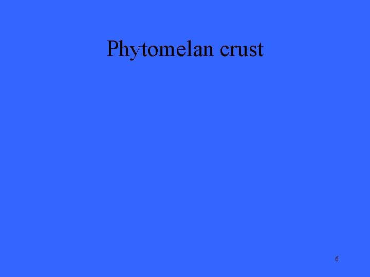 Phytomelan crust 6 