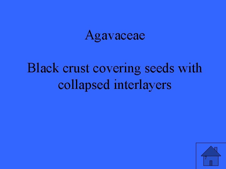 Agavaceae Black crust covering seeds with collapsed interlayers 7 
