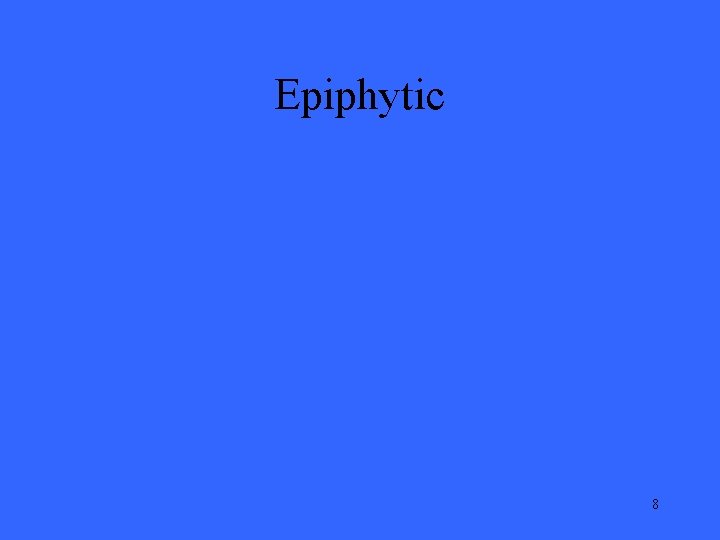Epiphytic 8 