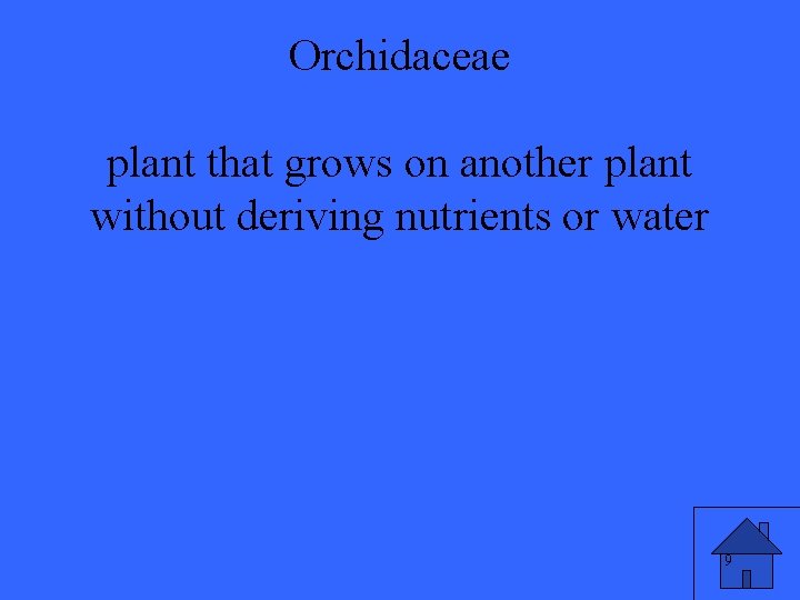 Orchidaceae plant that grows on another plant without deriving nutrients or water 9 