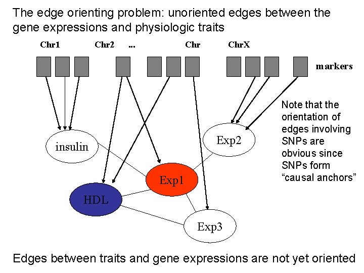 The edge orienting problem: unoriented edges between the gene expressions and physiologic traits Chr