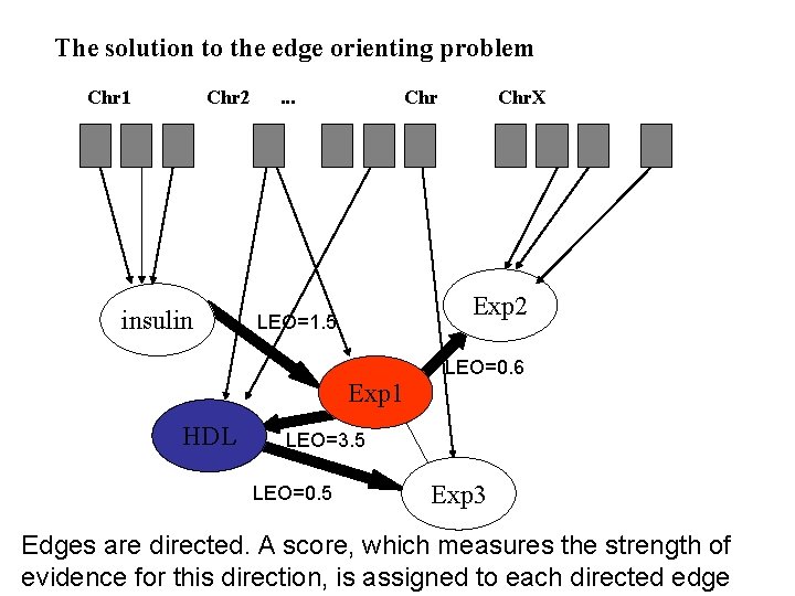 The solution to the edge orienting problem Chr 1 Chr 2 insulin . .