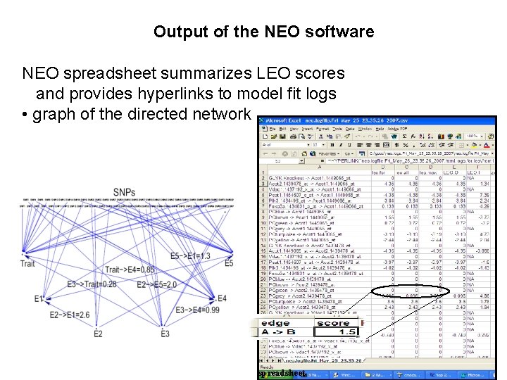 Output of the NEO software NEO spreadsheet summarizes LEO scores and provides hyperlinks to