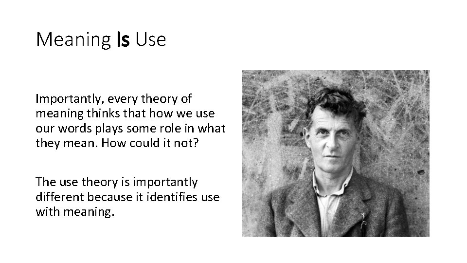 Meaning Is Use Importantly, every theory of meaning thinks that how we use our