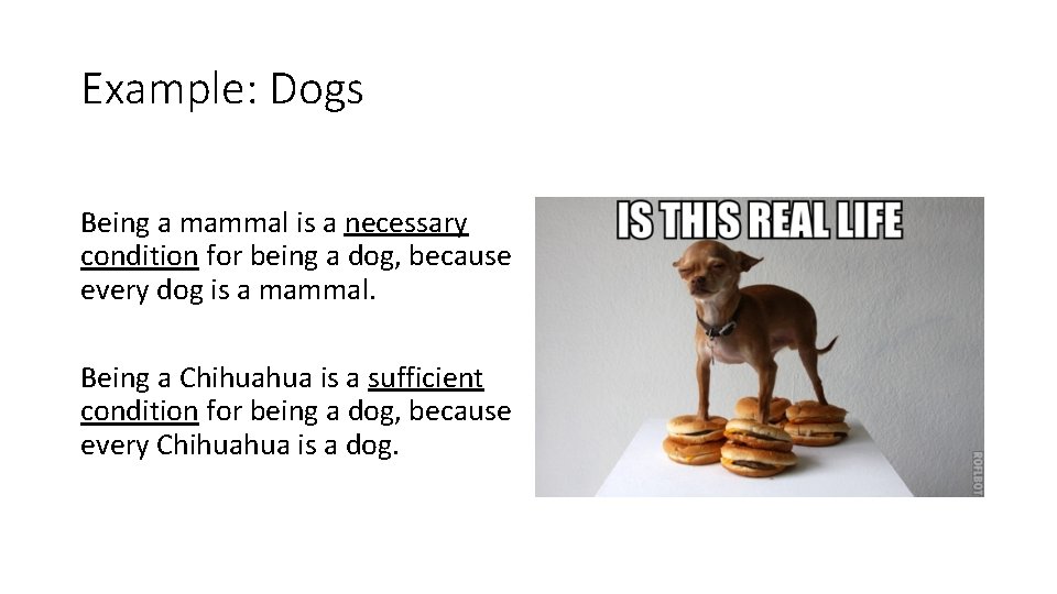 Example: Dogs Being a mammal is a necessary condition for being a dog, because