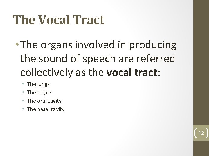 The Vocal Tract • The organs involved in producing the sound of speech are