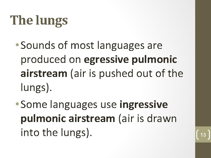 The lungs • Sounds of most languages are produced on egressive pulmonic airstream (air