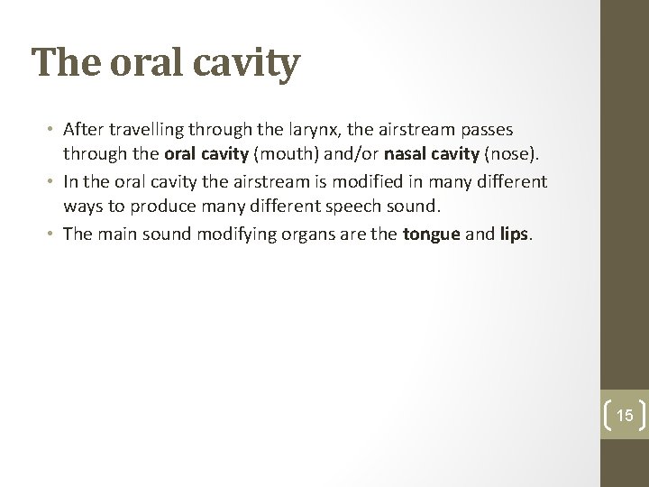 The oral cavity • After travelling through the larynx, the airstream passes through the